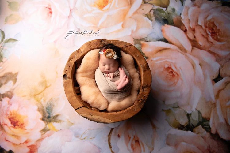 Blumenhintergrund für Brautereignisse Fotografie F-008