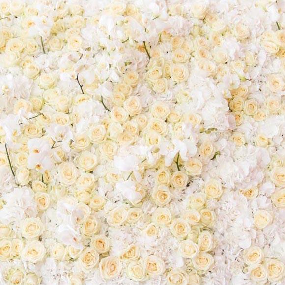 Gelbweißer Blumenwandhintergrund für Fotografie G-605