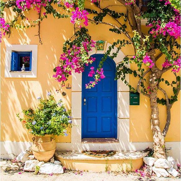 Beautiful Blue Door Flowers Tree Backdrops for Pictures G-671