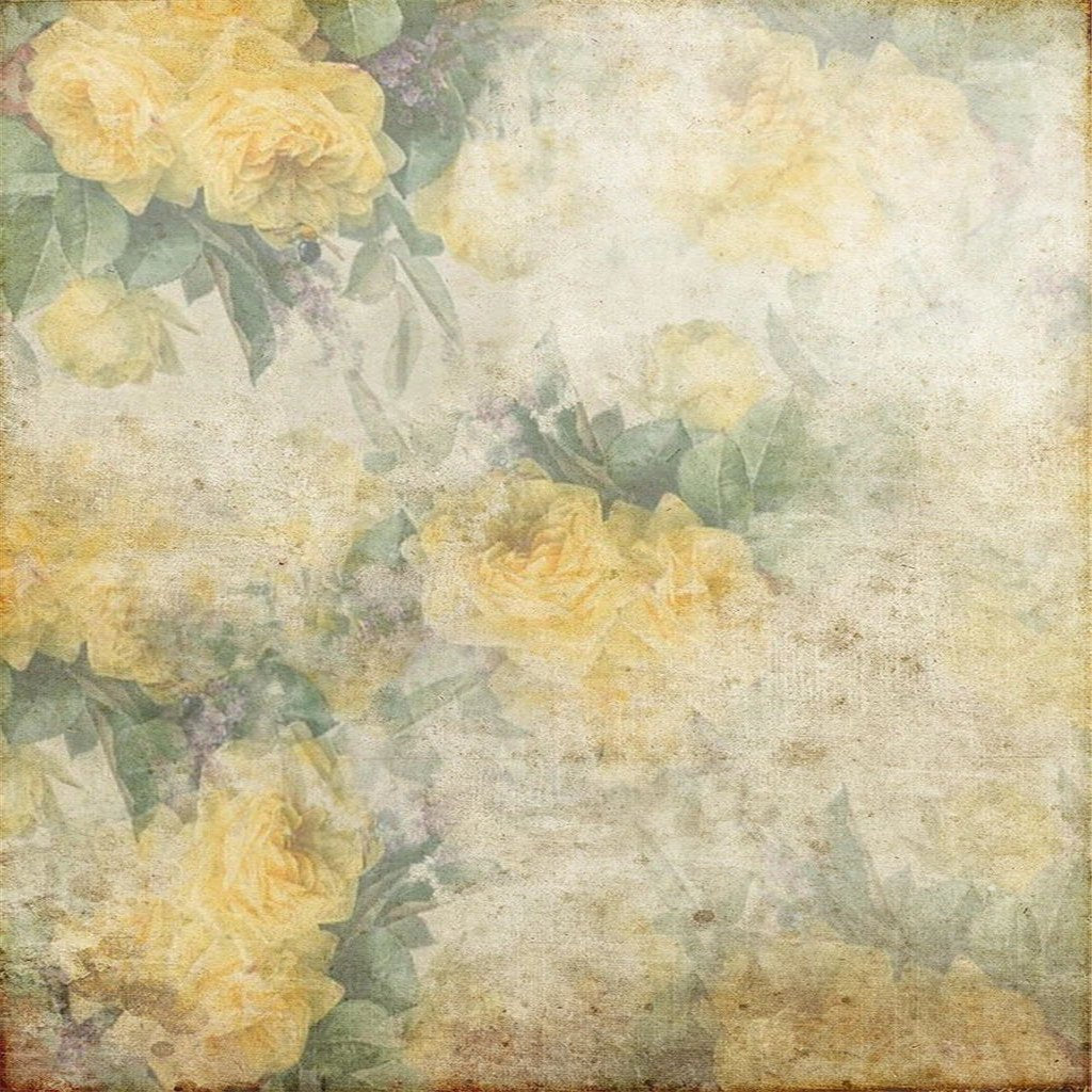 Vintage Shabby Grunge Yellow Flowers Photography Backdrop GA-55