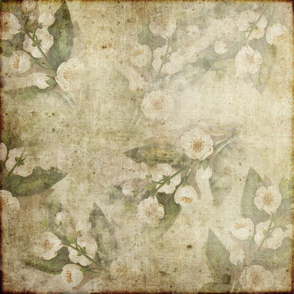 Vintage White Flowers Green Leaves Backdrop for Photography GA-63