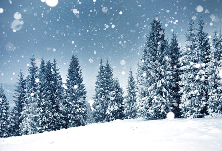 Winter Schnee Weihnachtsbäume Hintergrund für Fotografie GX-1077