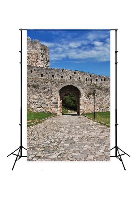 Old Stone Door Wall Photography Backdrop J03113