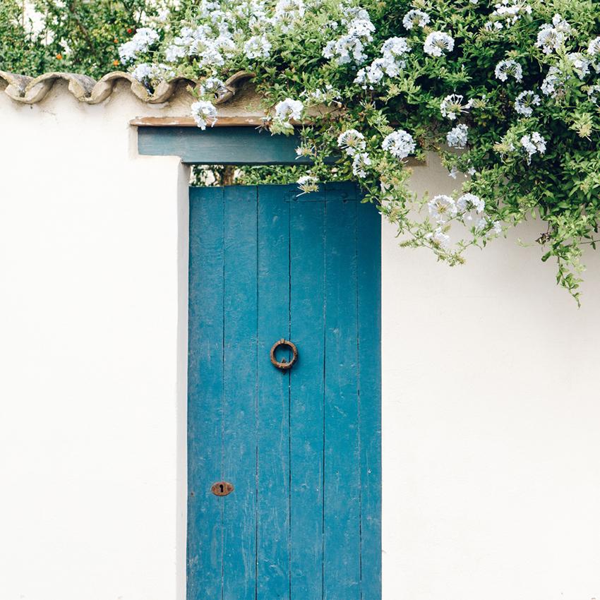 Blue Wooden Door White Flowers Photo Booth Backdrops J03732