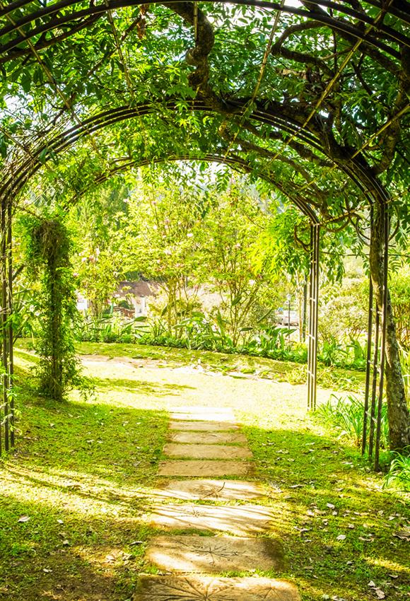 Arch Grüne natürlich Pfed Fotokabines Hintergründe J05492