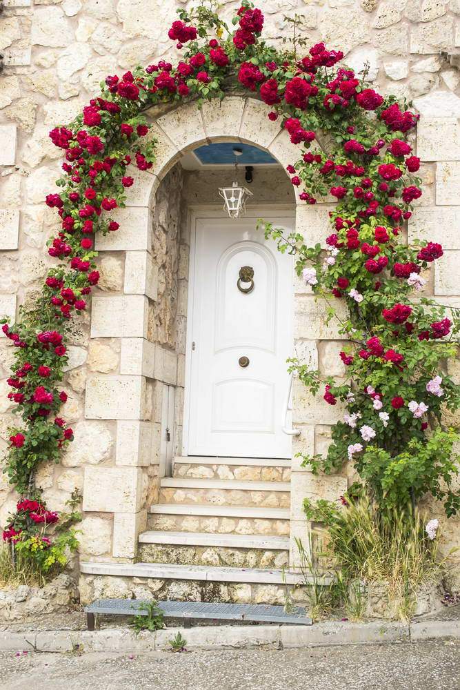 White Door Flowers Decoration Stone Stage Backdrop for Photography MR-2201