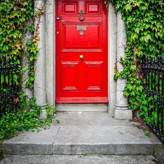 Red Door With Green Plants Backdrop for Photo Studio S-3063