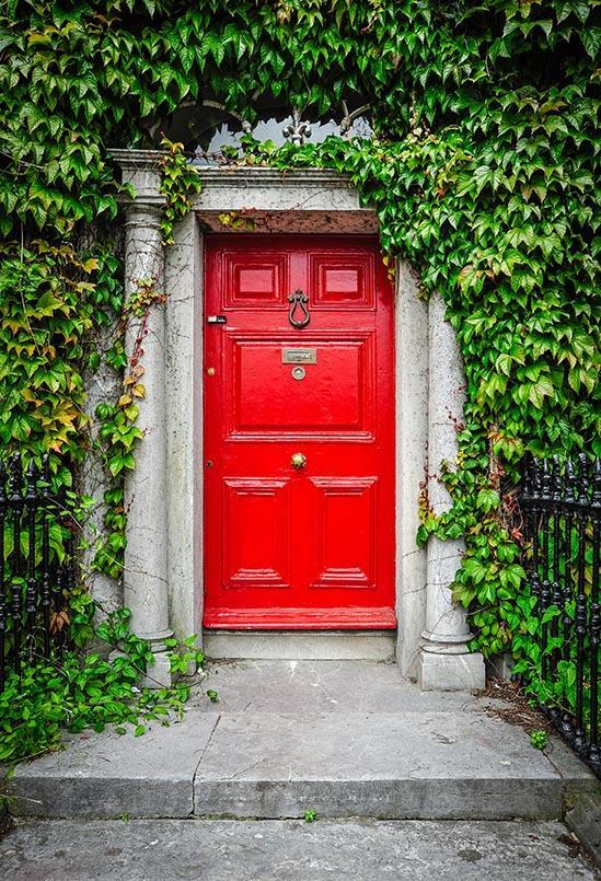 Red Door With Green Plants Backdrop for Photo Studio S-3063
