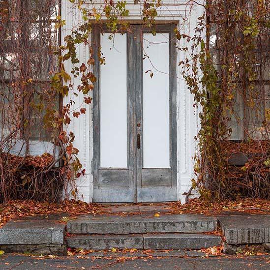 White Door Yellow Fallen Leaves Plants Photo Background S-3223