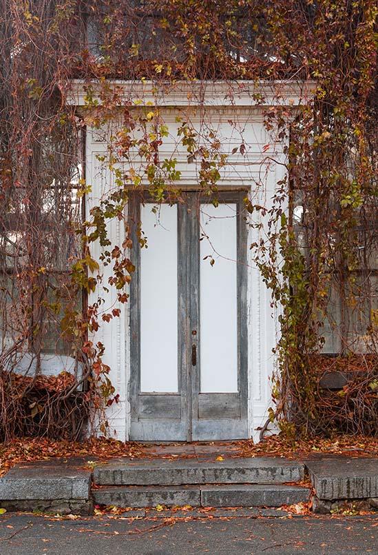 White Door Yellow Fallen Leaves Plants Photo Background S-3223