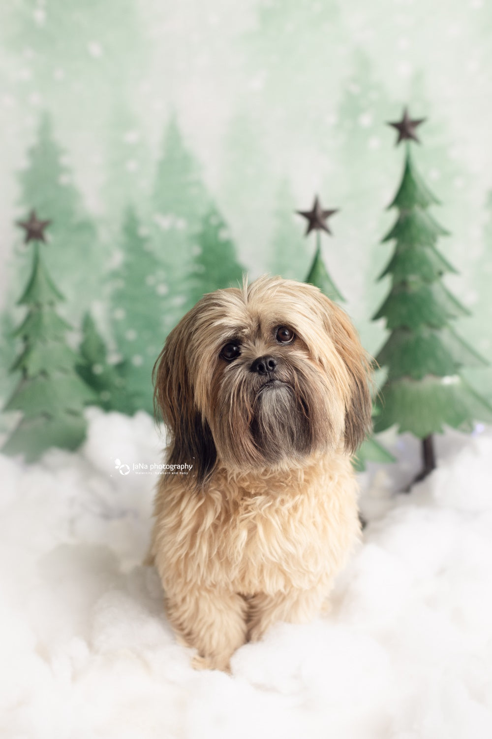 Tannen Bäume Hintergrund Schnee Hintergrund Baby Fotografie ZG-71
