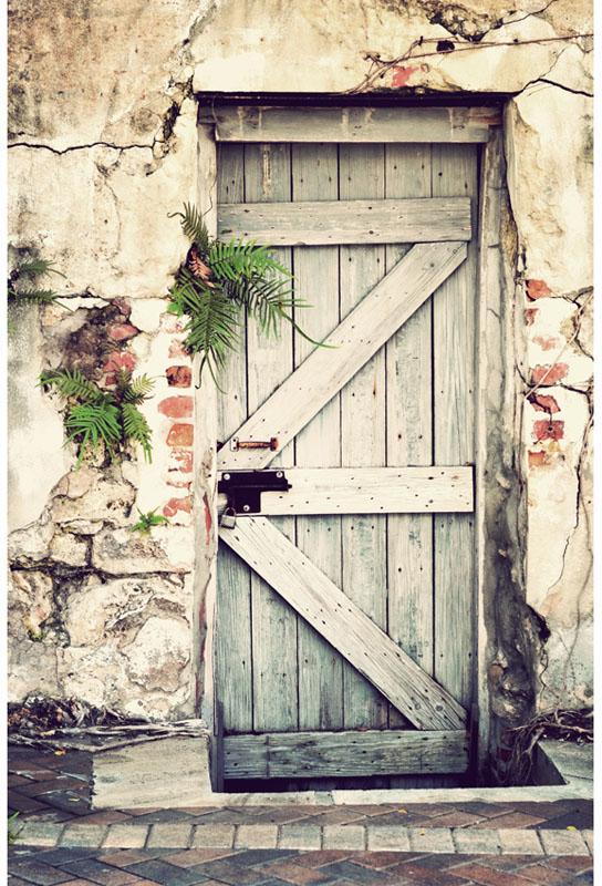 Wooden Door Broken Brick Wall Photo Backdrop ZH-52