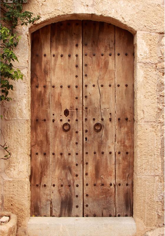 Brown Vintage Wooden Door Photography Backdrop ZH-53
