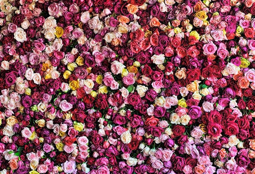 Rose Flower Wall Photo Backdrops for Decorations LV-137