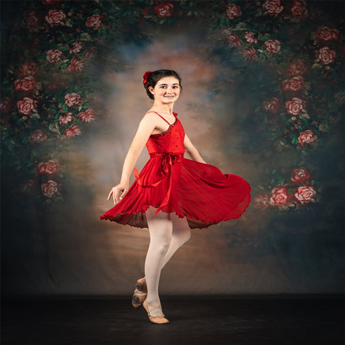 Bester Balletthintergrund und Pose für Fotografen