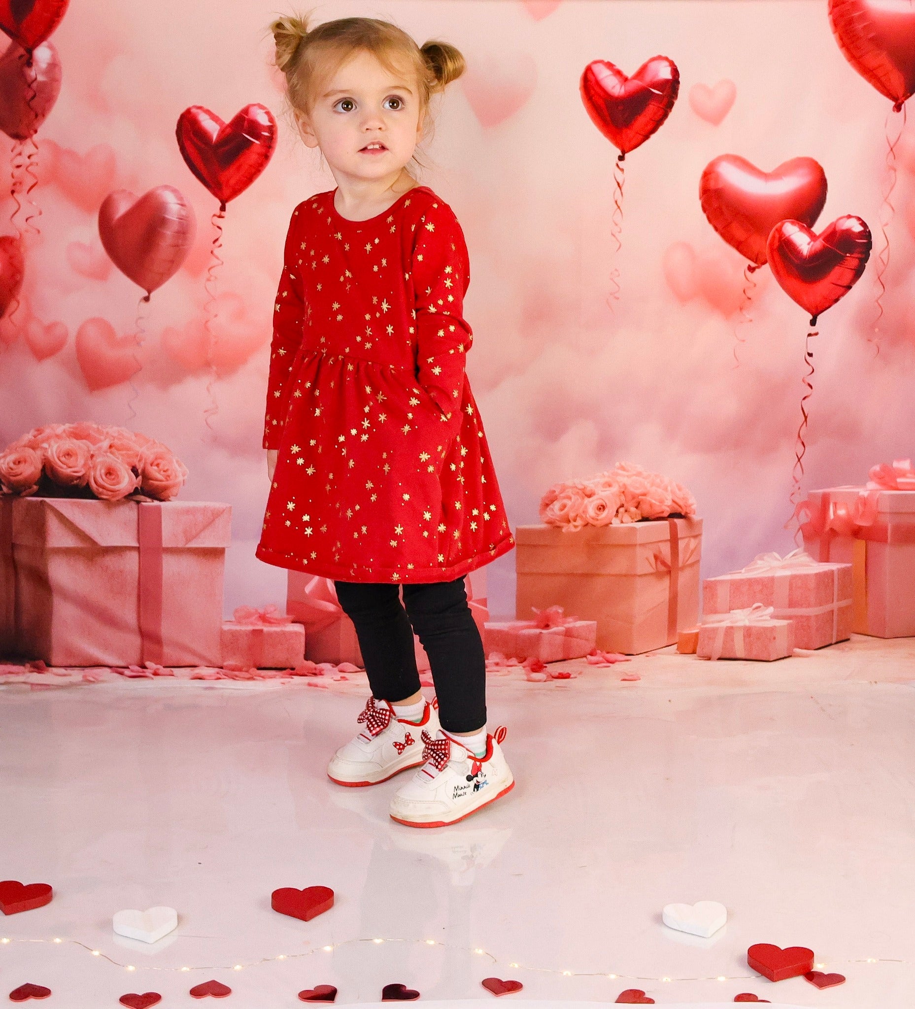 Valentinstag-Fotohintergrund Romantische Herzballons Geschenke Valentinstag-Fotohintergrund MRR9-86