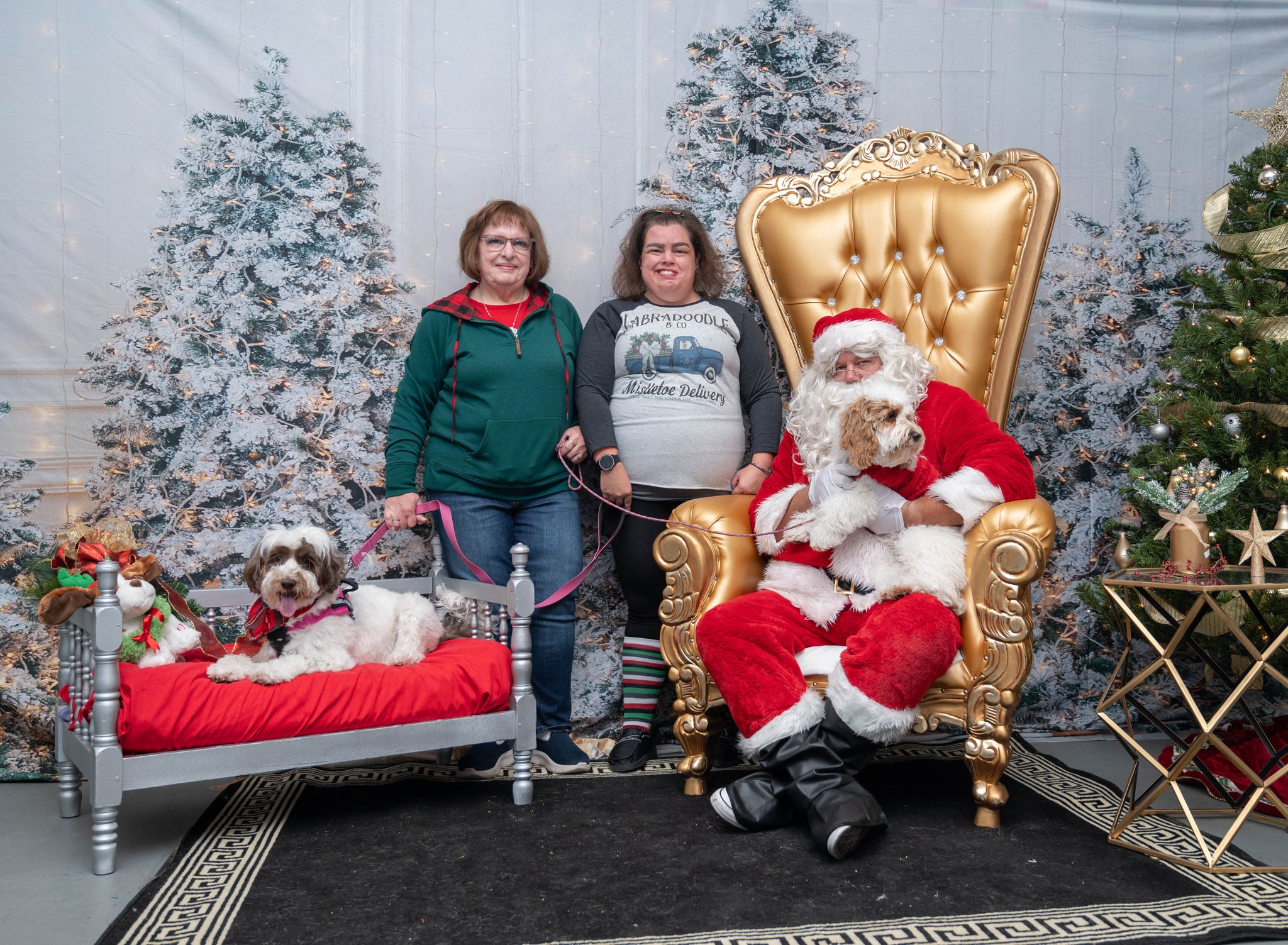 Glühender Weihnachtsbaum Fotostand-Hintergrund M9-16