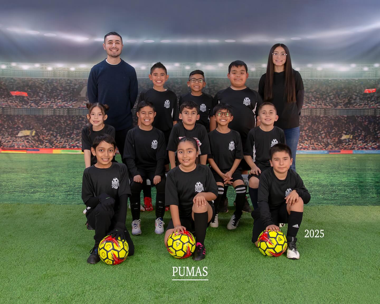 Fußballfeld Grüne Rasenlichter Sportfoto-Hintergründe G-264