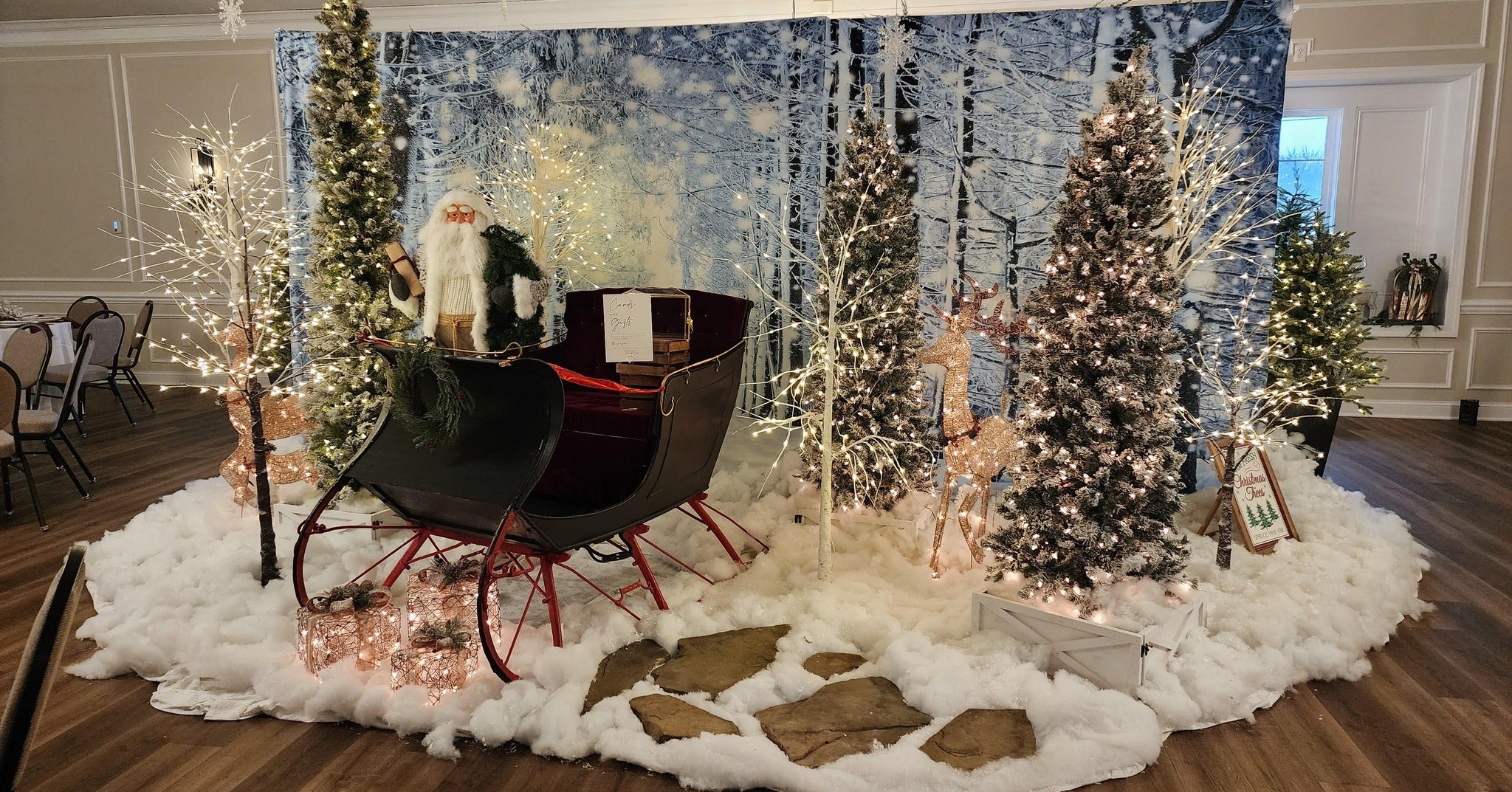 Schöne Weiße Wald Schnee Szene Weihnachten Hintergründe GX-1070
