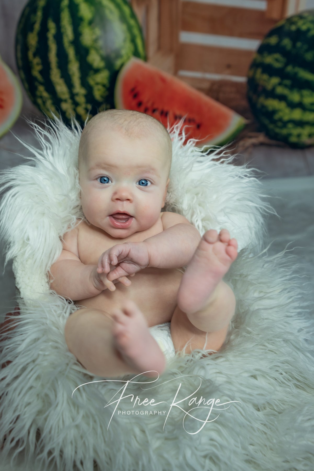 Sommer Wassermelonen Holz Fotokabinen Hintergrund M-41