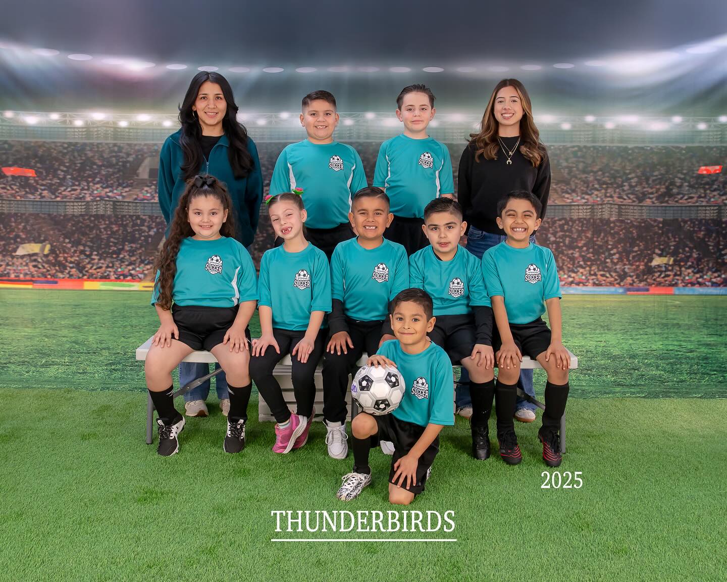 Fußballfeld Grüne Rasenlichter Sportfoto-Hintergründe G-264