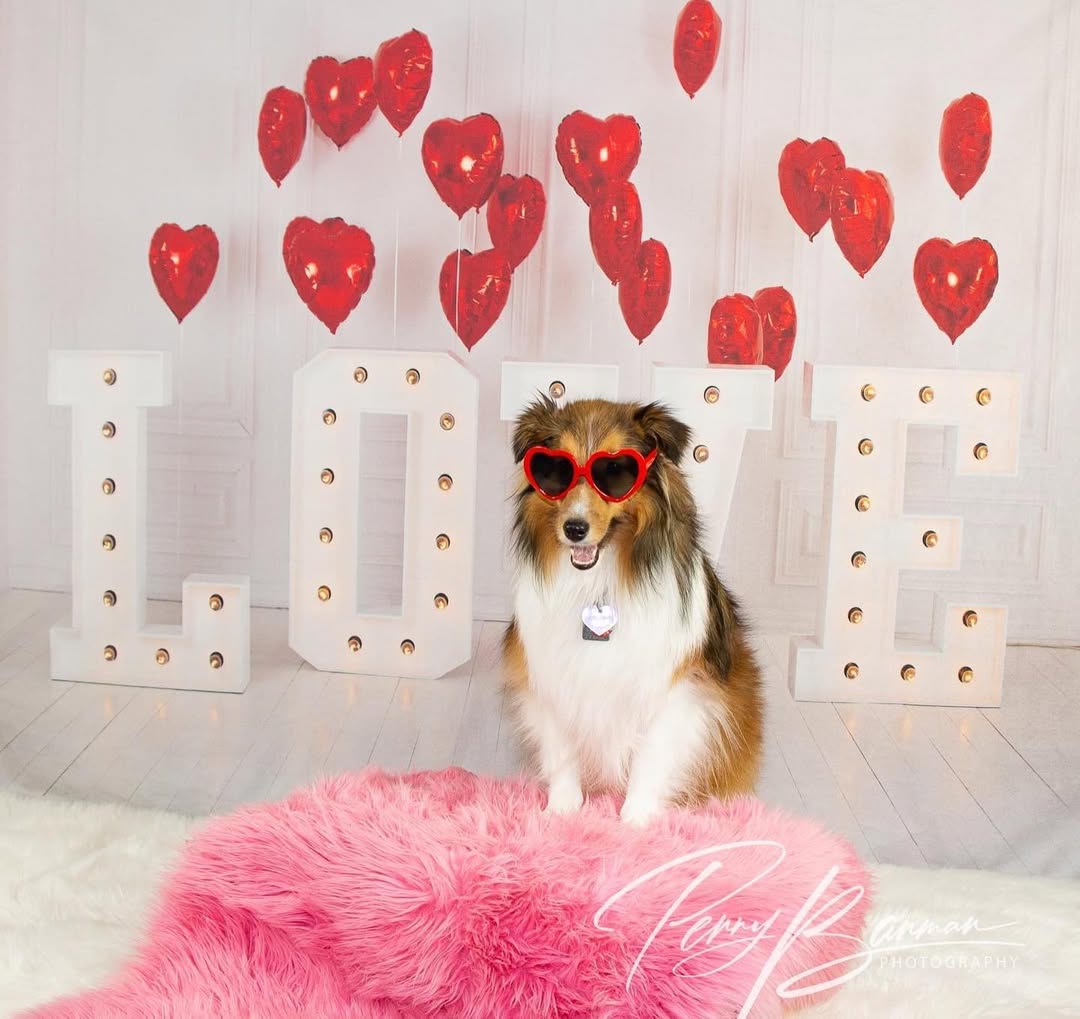 Valentinstag Rote Herzballons LOVE Hintergrund SH-856