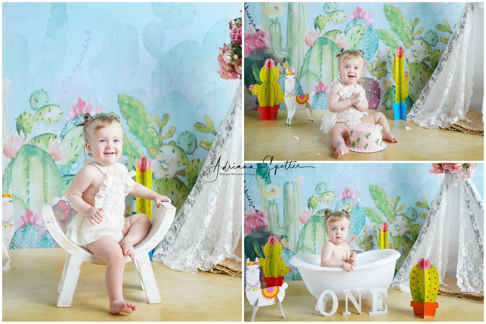 Kinderfotokulisse Kaktusgarten Blumen Neugeborenenkulisse MRR10-39