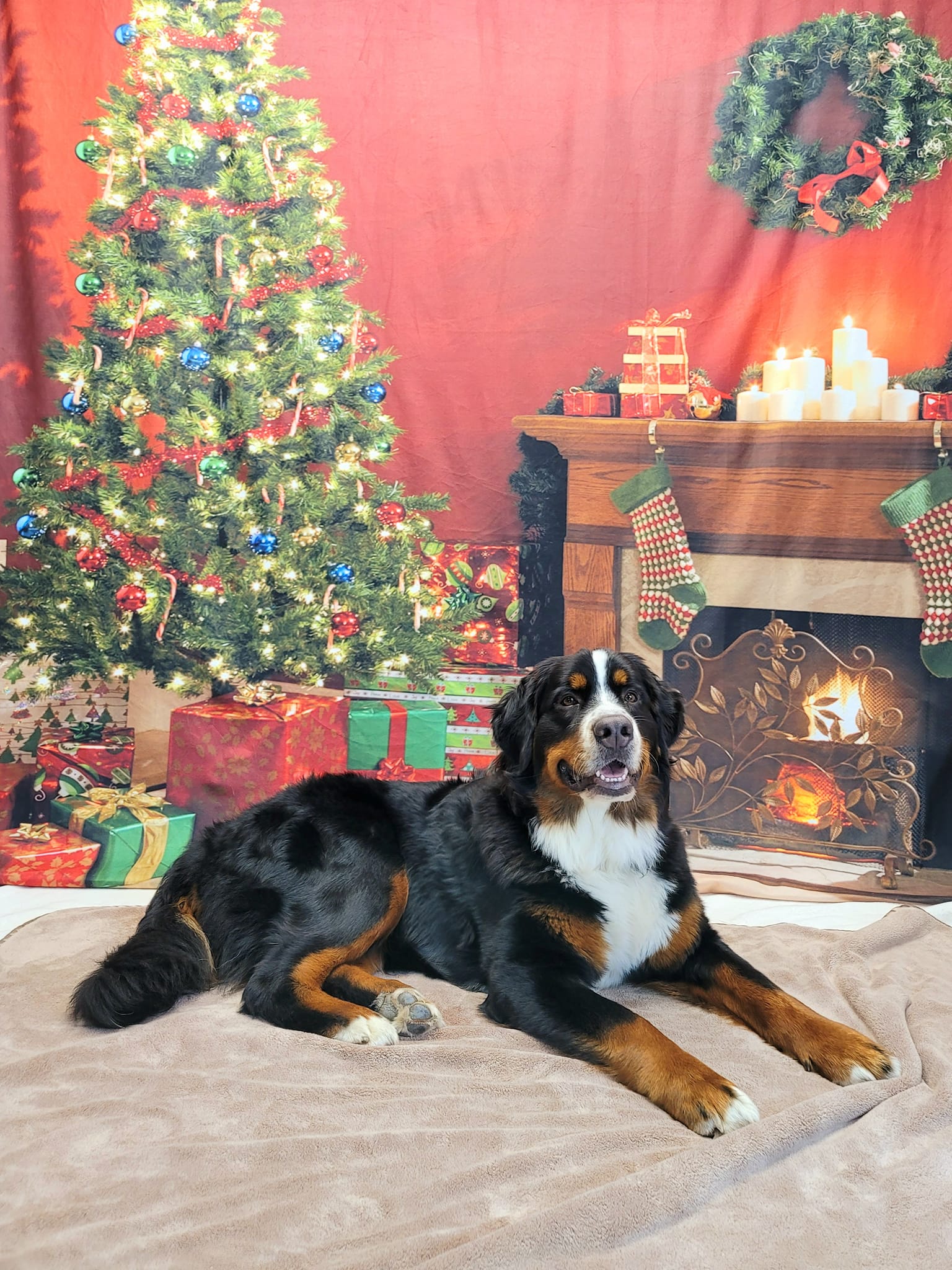 Weihnachtsbaum-Kranz-rote Wand-Kamin-Dekoration-Hintergrund für Phoot-Shooting KAT-106