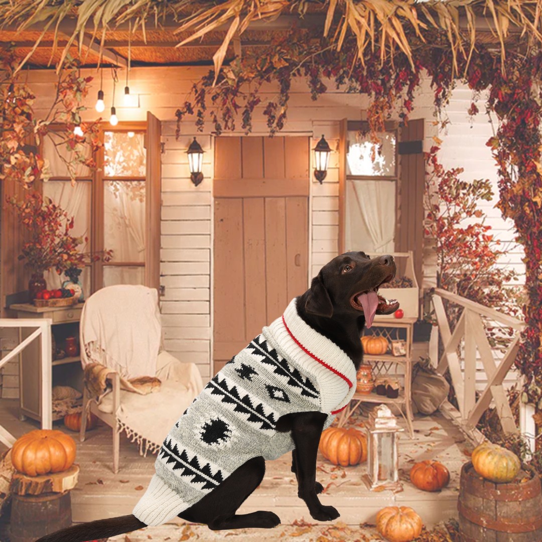 Fotografie-Hintergrund Kürbis-Herbst-Halloween-Hof SH-1096