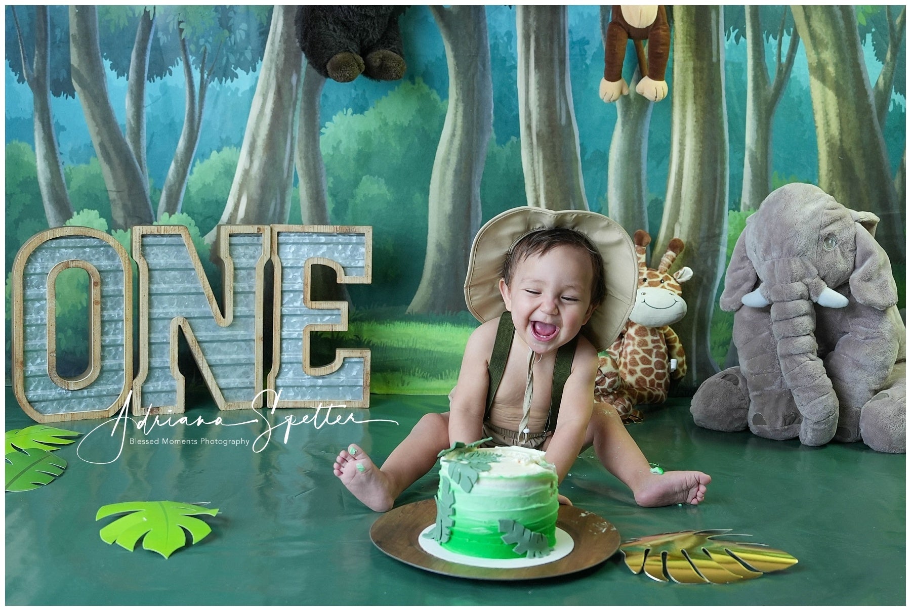 Neugeborenen-Hintergrund Verzauberter Wald Bäume Kinder-Fotohintergrund MRR10-24