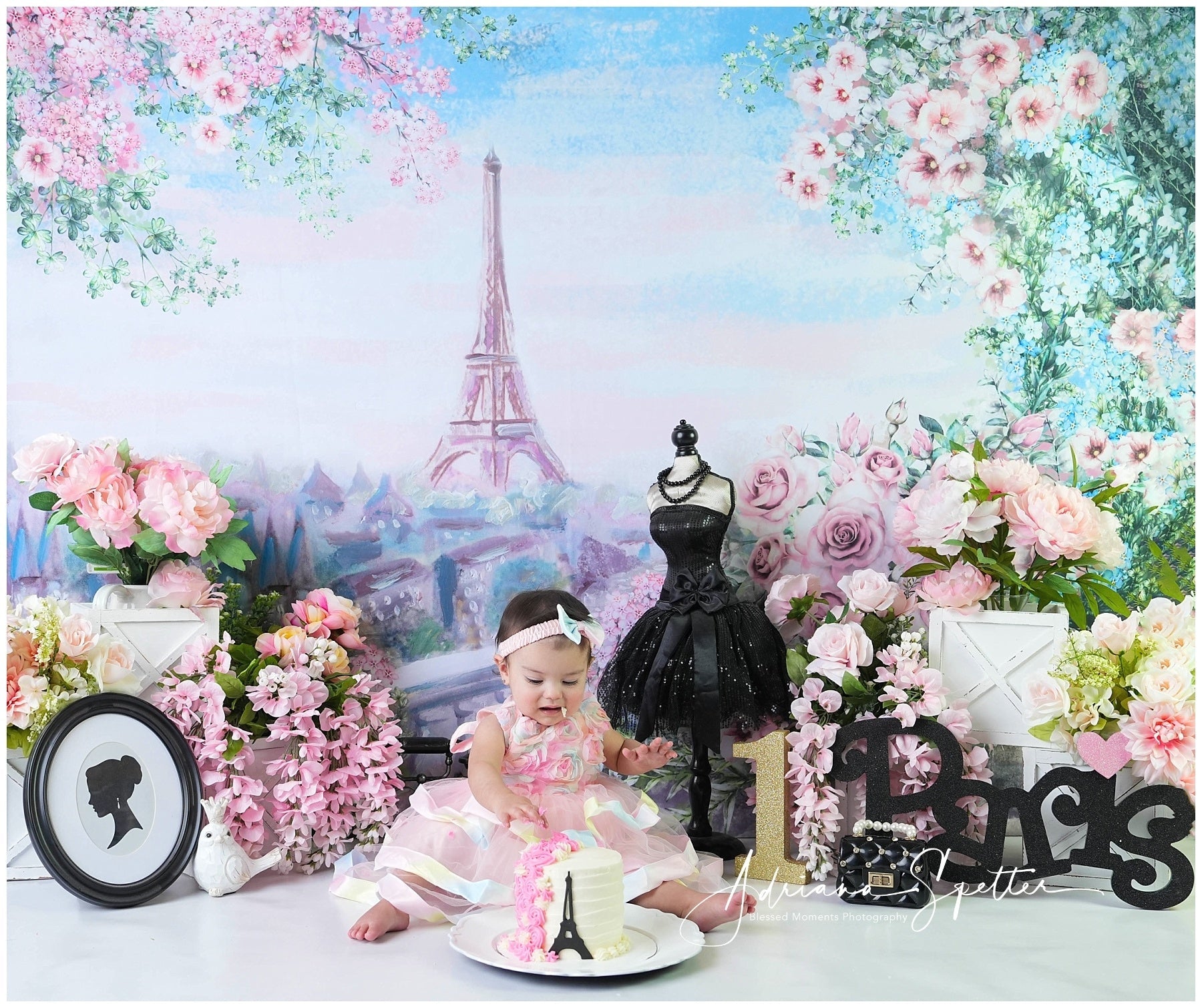 Cake Smash-Hintergrund Eiffelturm Frühlingsblumen-Geburtstag-Hintergrund MRR10-45