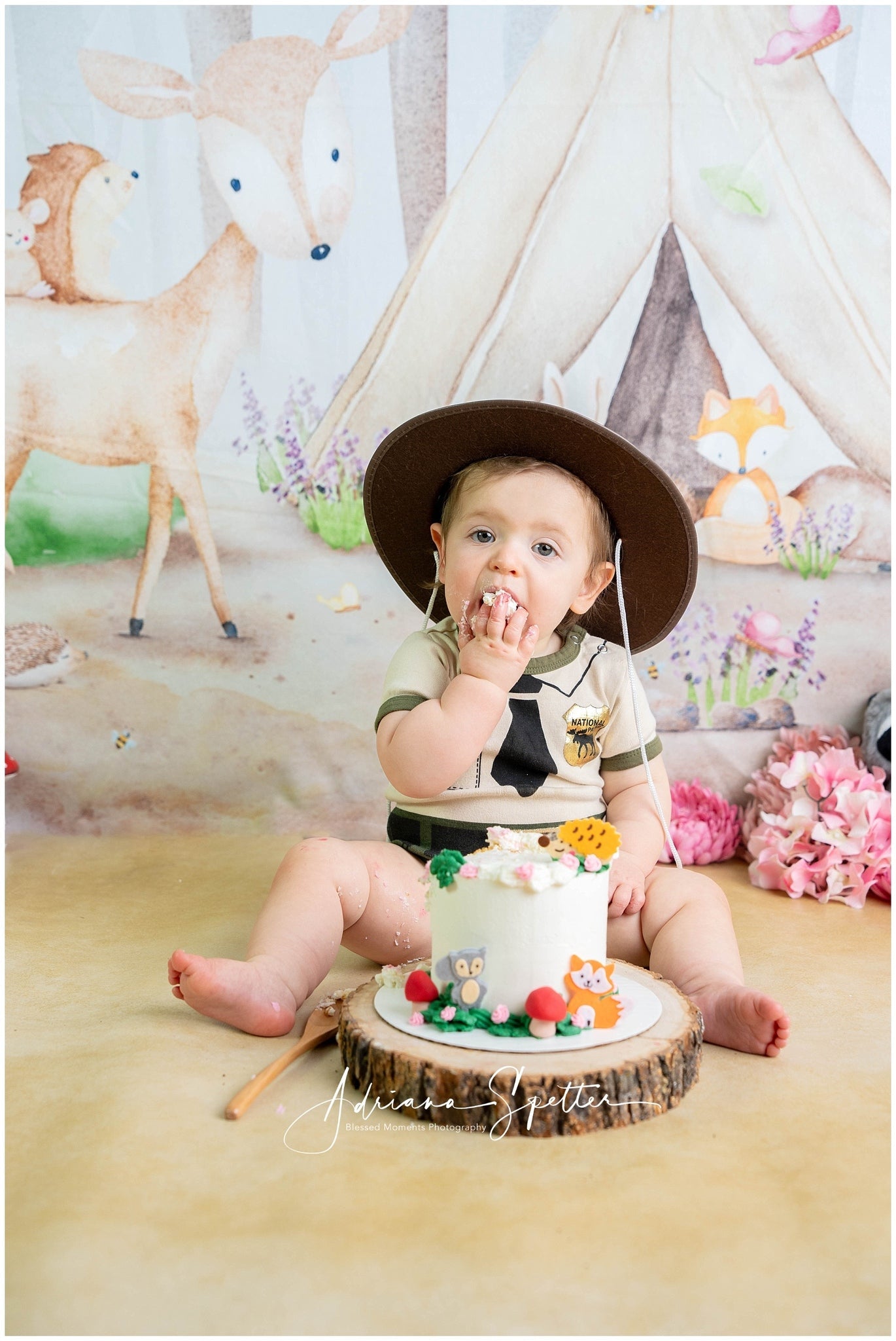 Wald-Hintergrund Tiere Zelt Bäume Neugeborenen-Fotografie-Hintergrund MRR10-29