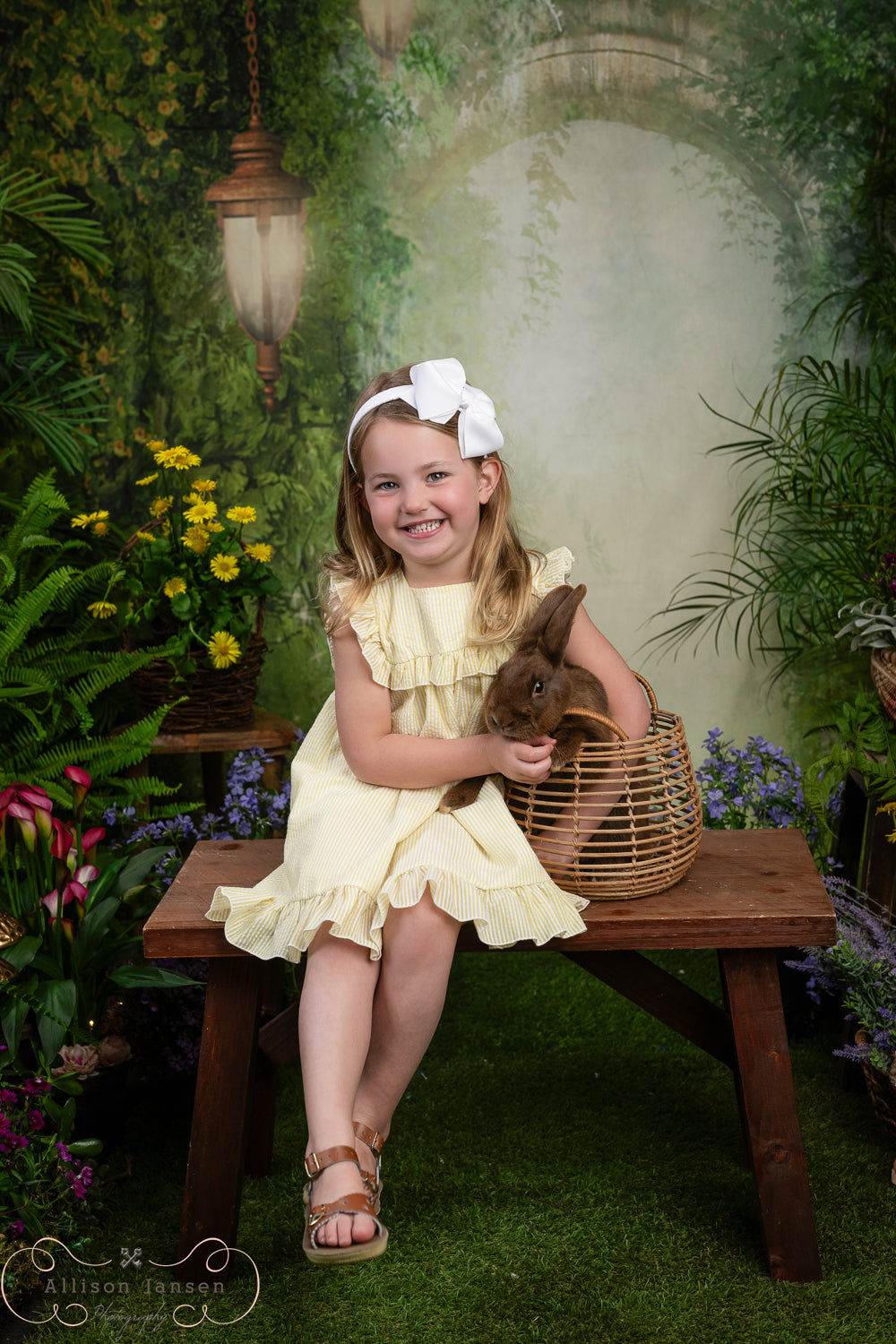 Zauberwald-Fotohintergrund Magischer Nebelbogen Laternen Wald-Fotohintergrund MRR9-94