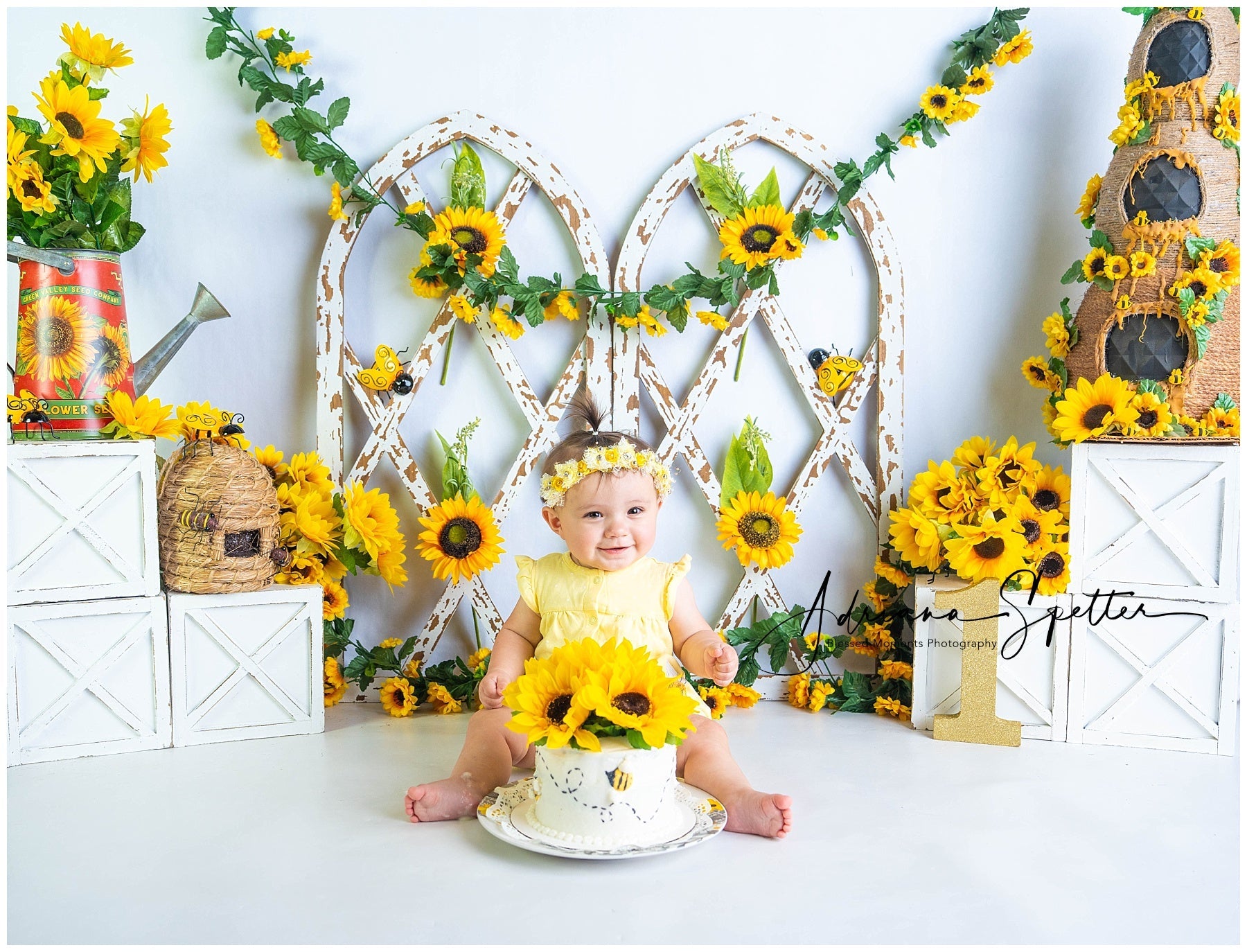 Kinderhintergründe Rustikaler Sonnenblumengarten Neugeborenen-Fotohintergrund MRR9-112