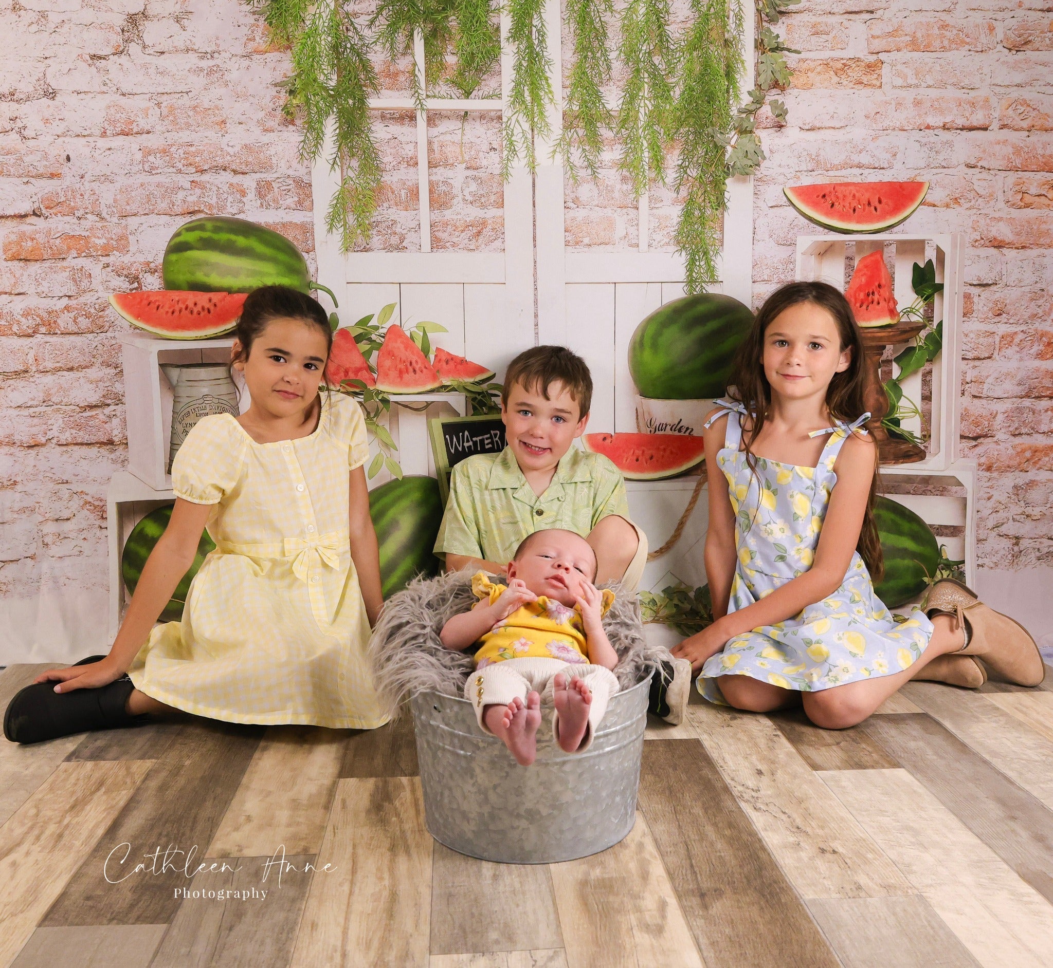 Wassermelonen-Fotohintergrund Backsteinmauer Holztür Sommer-Fotohintergrund MRR9-80