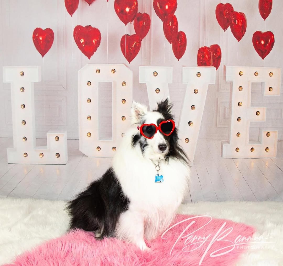Valentinstag Rote Herzballons LOVE Hintergrund SH-856