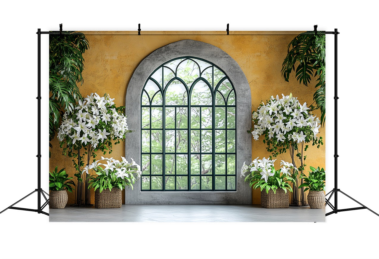 Fotohintergrund Frühling Elegantes Fenster Weiße Lilien Hintergrund BRP1-17