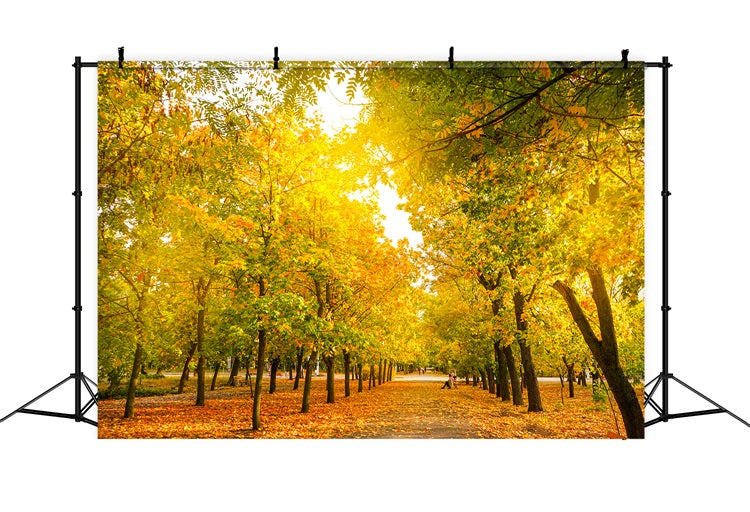 Herbstblätter Hintergrund Herbst Bäume Golden Hintergrund BRP10-234