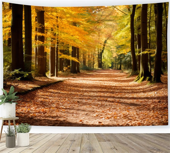 Herbst Hintergrund Herbst Wald Park Weg Scenic Hintergrund BRP10-235