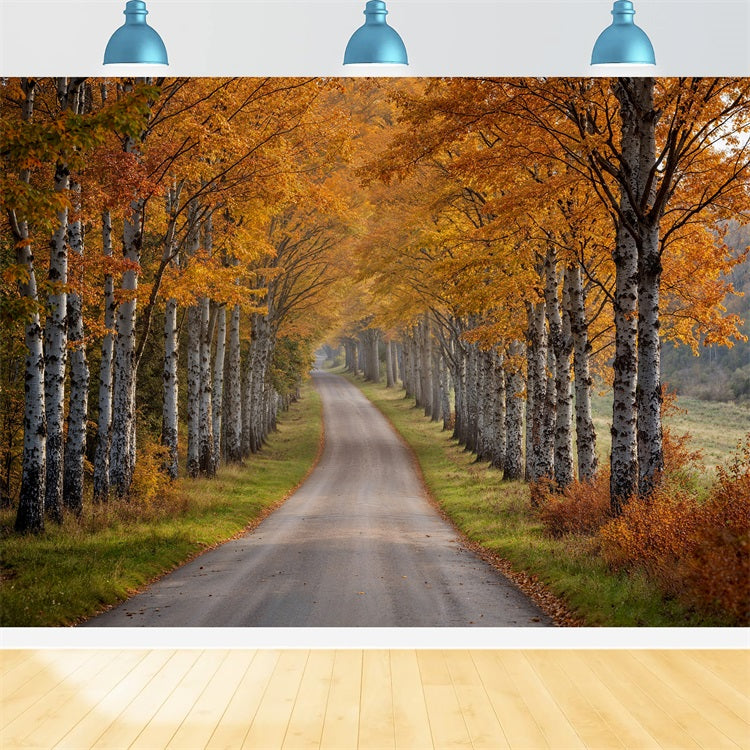 Herbst-Fotohintergrund Birke Baum Pfad Szene Hintergrund BRP10-237