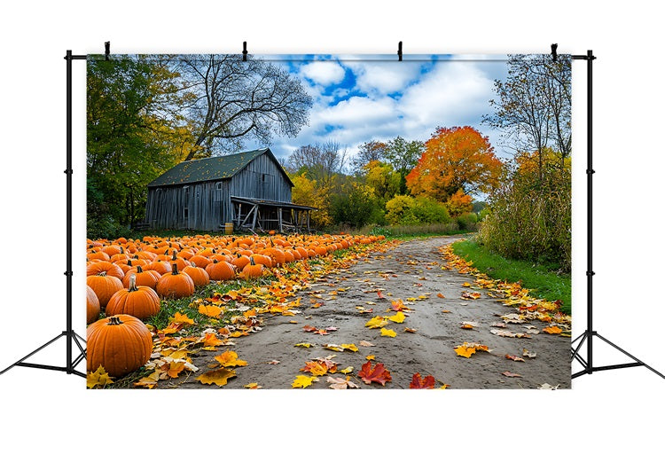 Herbst Hintergrund Rustikale Bauernhaus Kürbis Patch Hintergrund BRP10-250