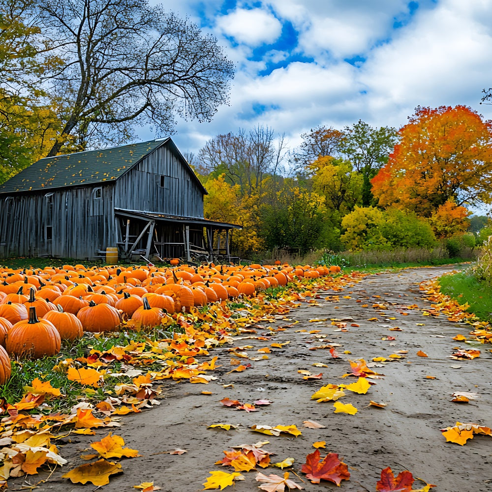 Herbst Hintergrund Rustikale Bauernhaus Kürbis Patch Hintergrund BRP10-250