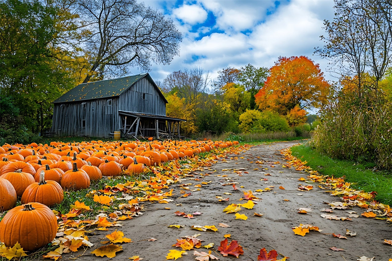 Herbst Hintergrund Rustikale Bauernhaus Kürbis Patch Hintergrund BRP10-250