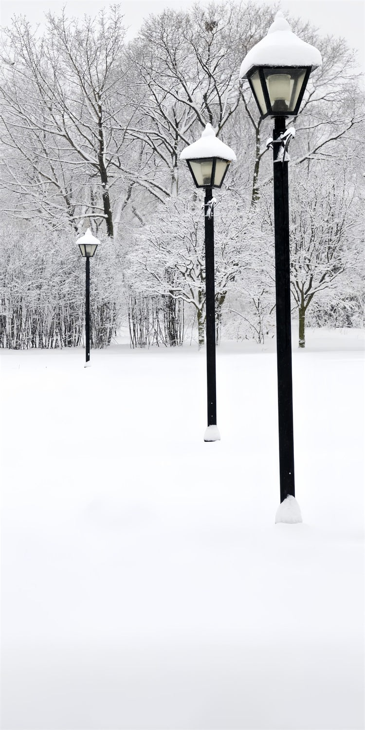 Winter Snowy Sweep Straßenlaternen-Szene Hintergrund BRP10-519