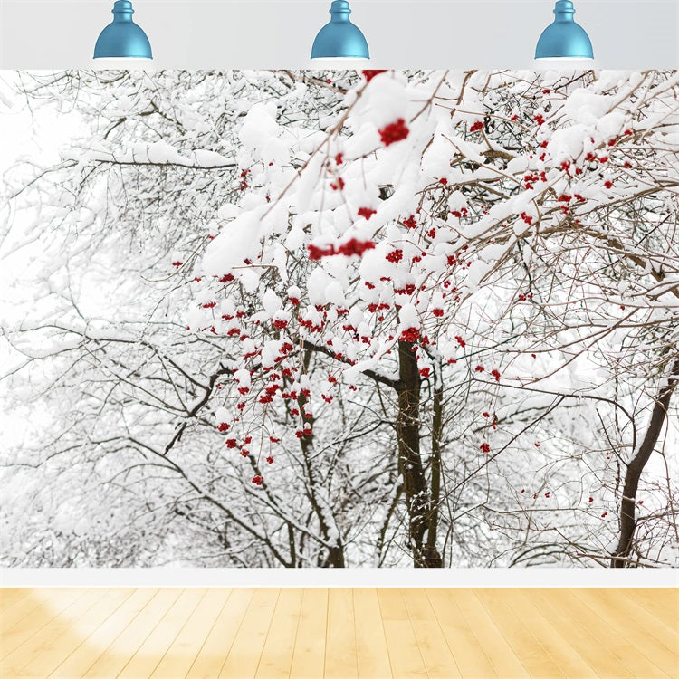 Winter Hintergrund Fotos Lebendige Rote Beeren Schnee Hintergrund BRP11-20