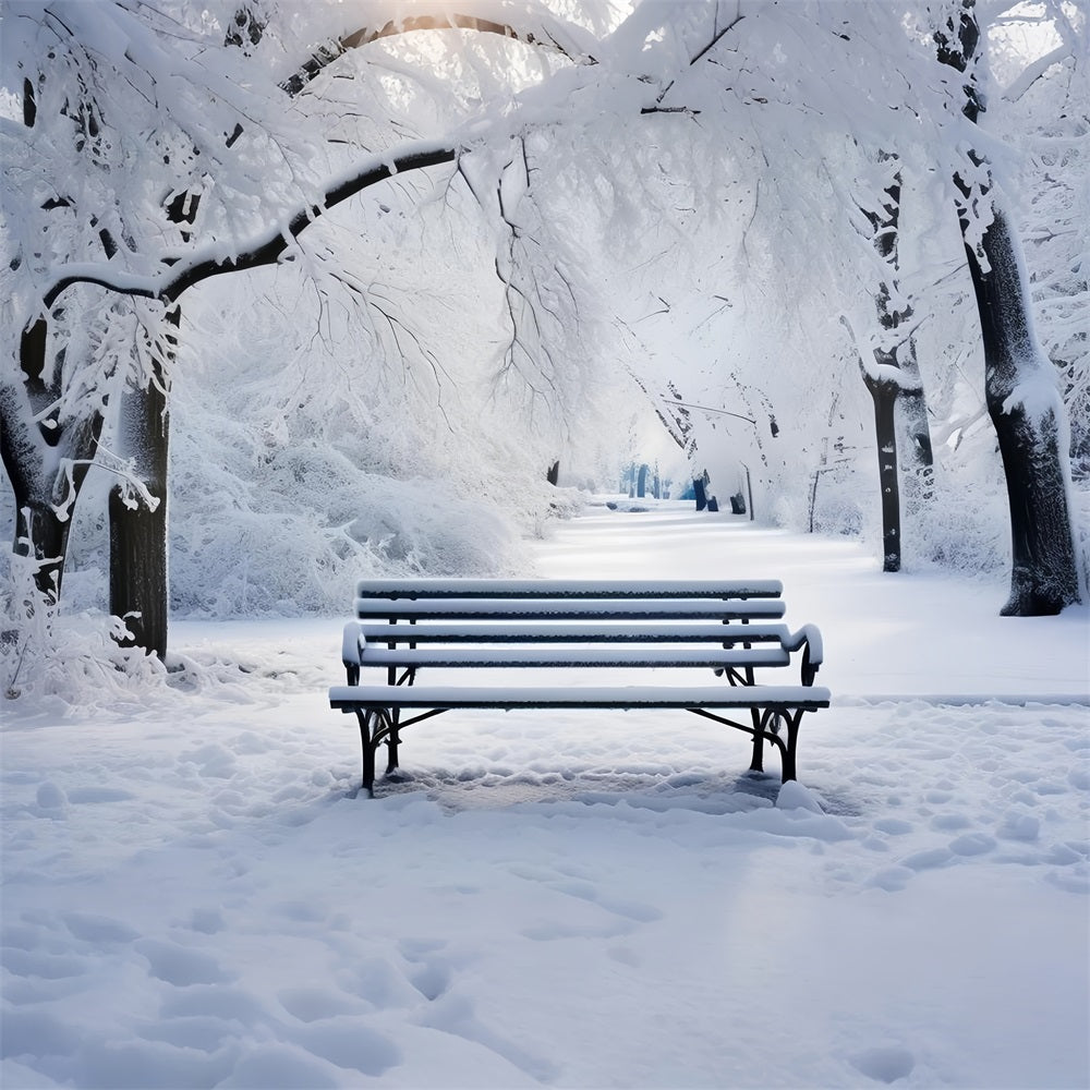 Winter Fotografie Glückselige Parklandschaft Bank Hintergrund BRP11-23