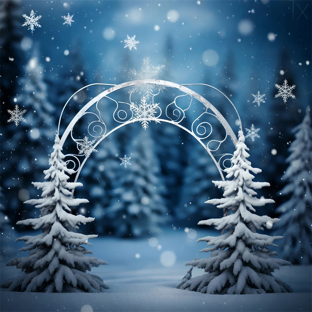 Winter Wonderland Hintergrund Enchanted Forest Arch Hintergrund BRP11-262