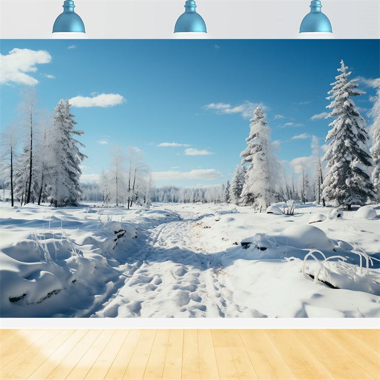 Winter Wälder Hintergrund Vereiste Bäume Blauer Himmel Hintergrund BRP11-266