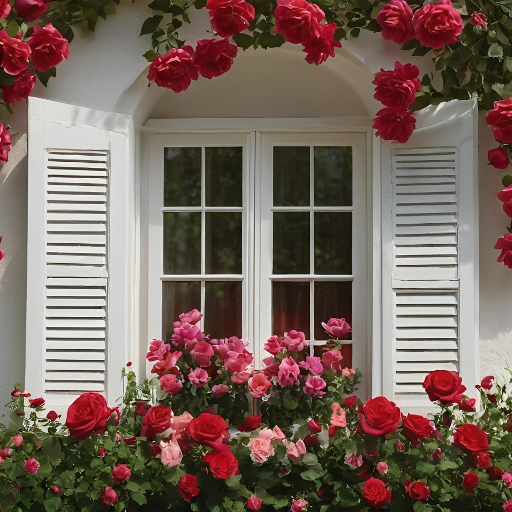 Valentinstag Fotohintergrund Rose-Dekoriert Weißes Fenster Hintergrund BRP11-415