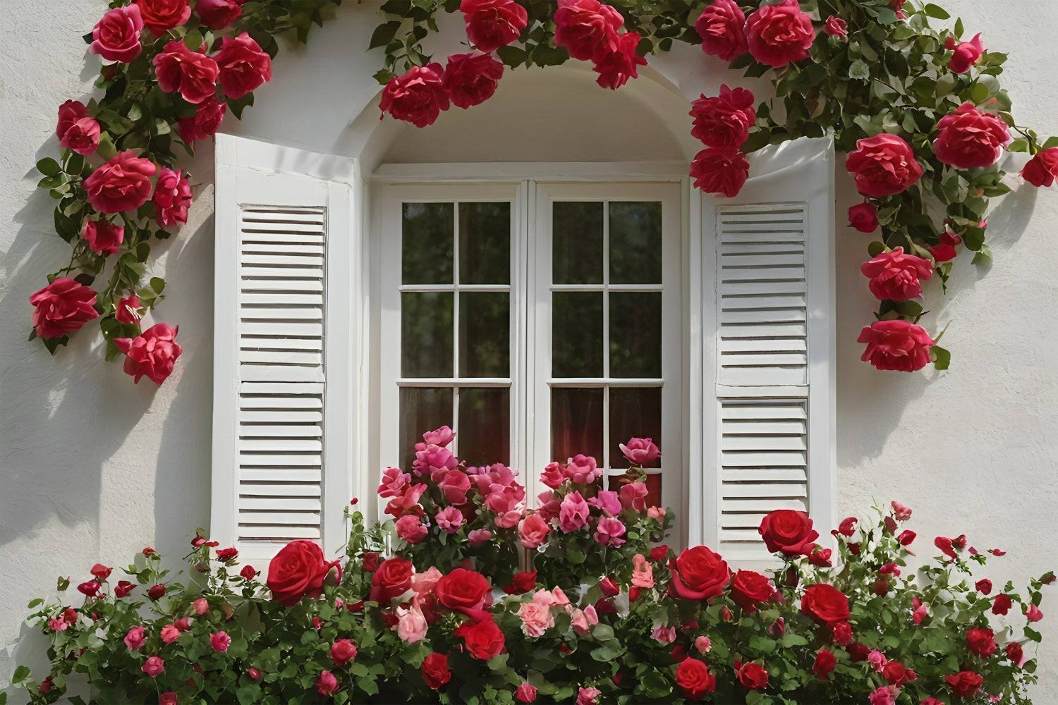 Valentinstag Fotohintergrund Rose-Dekoriert Weißes Fenster Hintergrund BRP11-415